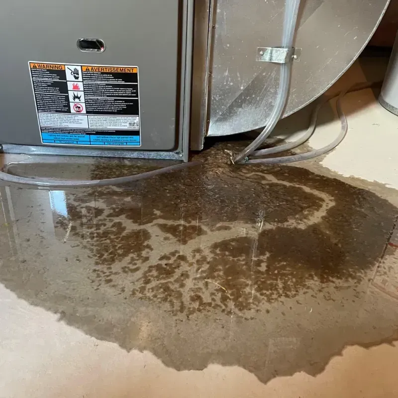 Appliance Leak Cleanup in Mineral County, WV